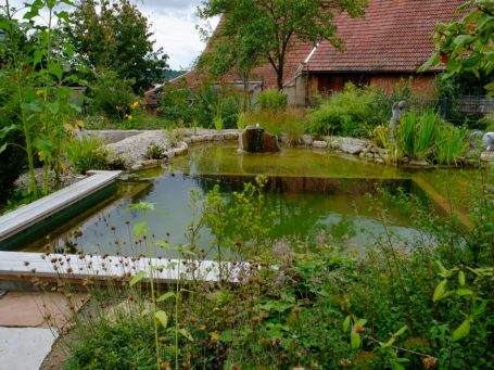 Gartenteich mit Bepflanzung in natürlicher Umgebung mit historischem Gebäude.